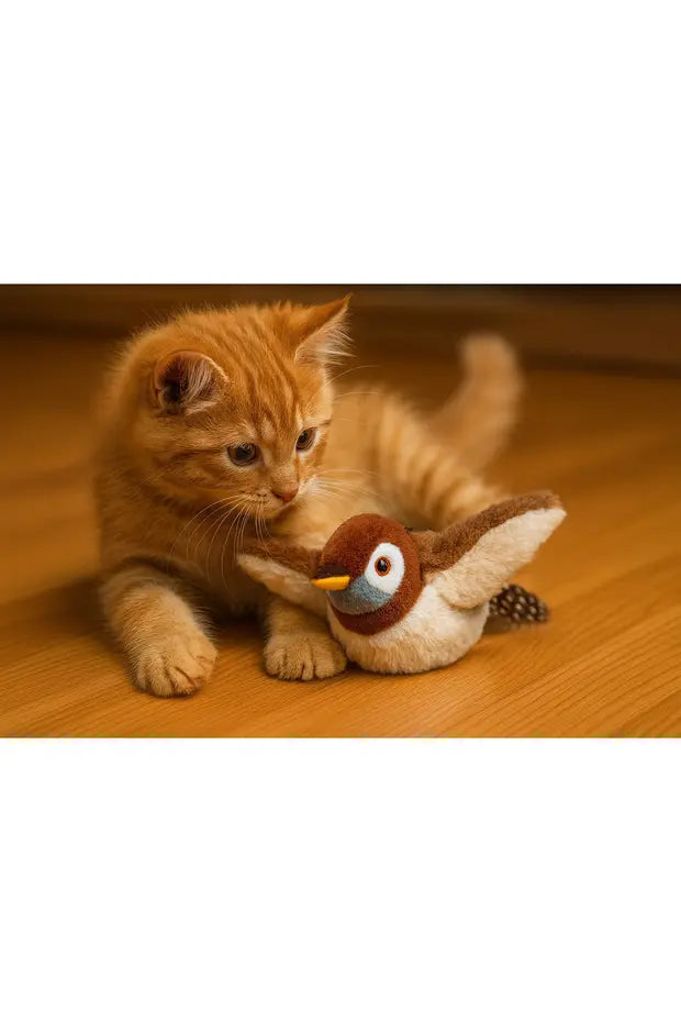 Yavru kedi ve Cıvıl Kuş