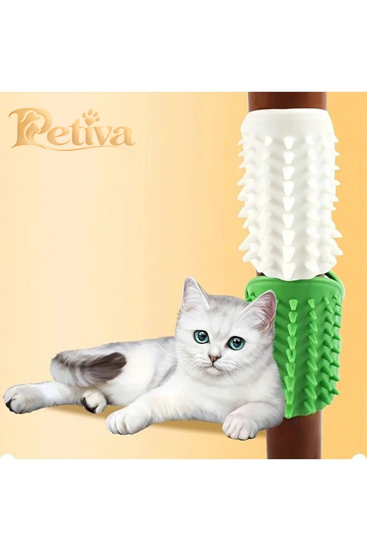 Kedi kaşınma fırçası sandalye ayağında