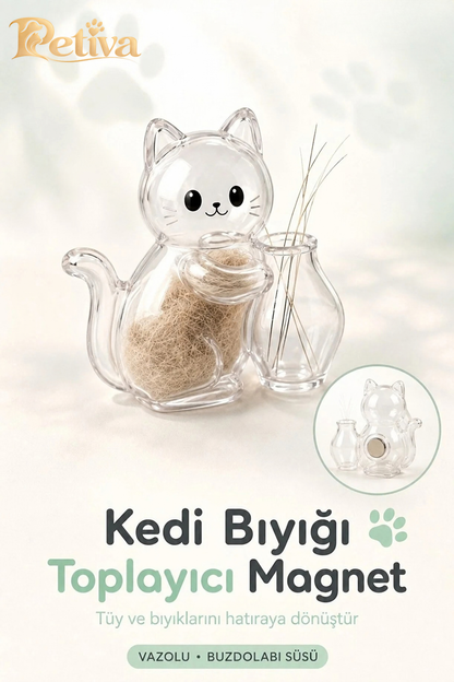 Kedi bıyığı toplayıcı magnet