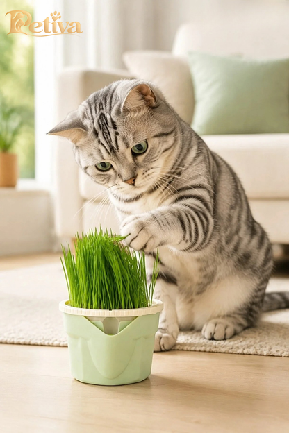 Kedi taze çimle oynuyor
