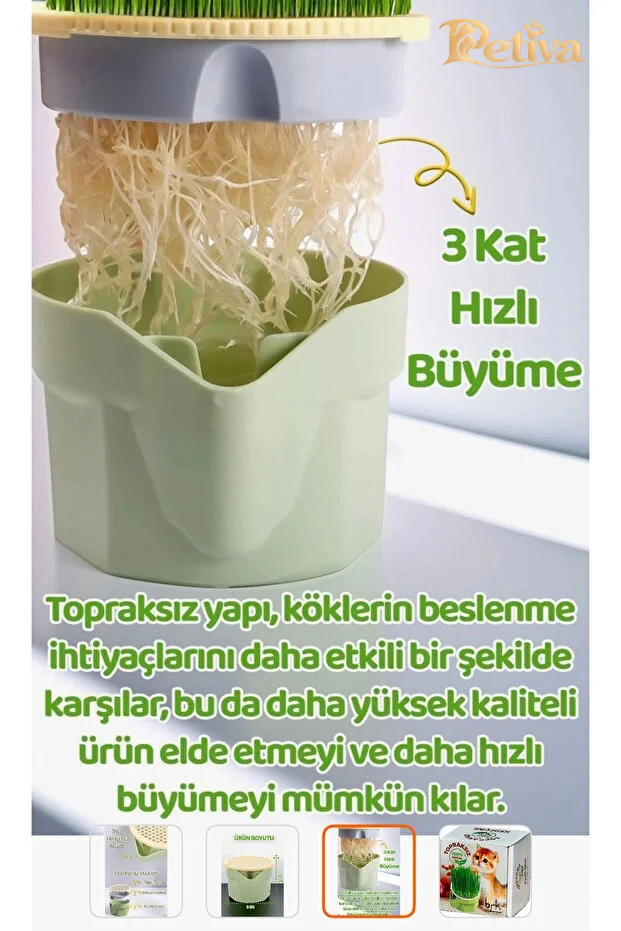 3 kat hızlı büyüme