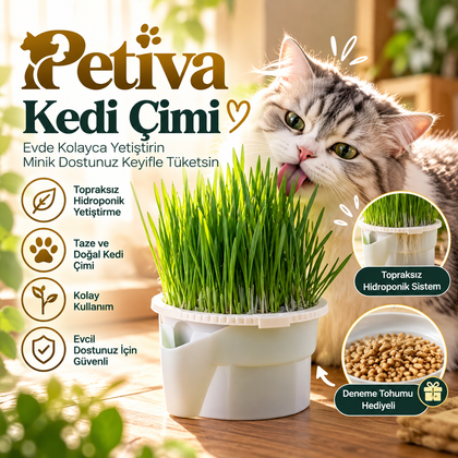 Petiva™ Hidroponik Kedi Çimi Yetiştirme Kiti