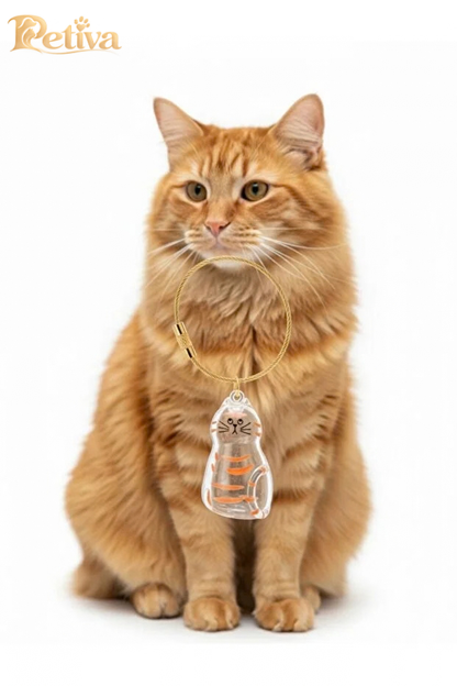 Kedi hatıra anahtarlığı sarman