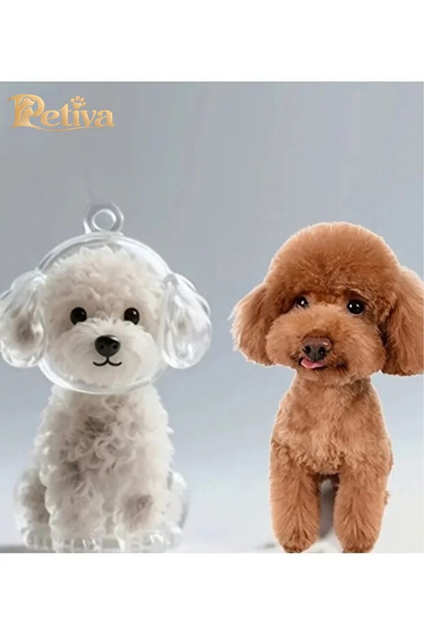 Köpek hatıra anahtarlığı poodle