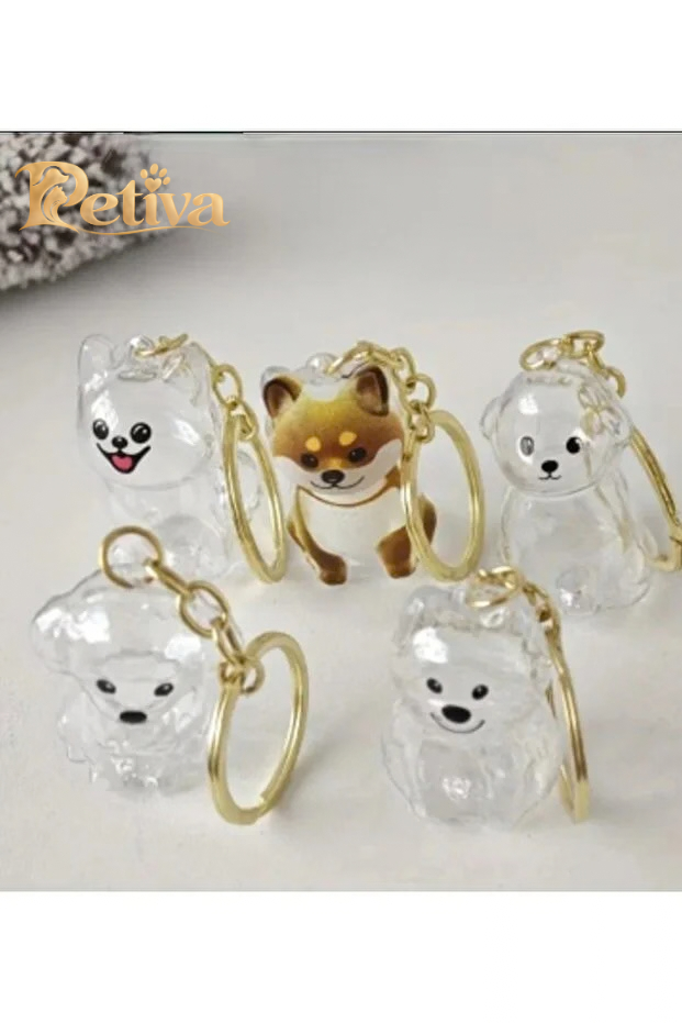 Köpek hatıra anahtarlıkları