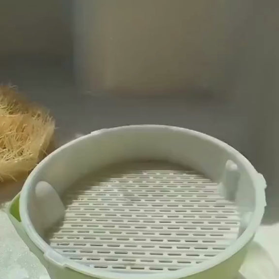 Kedi çimi yetiştirme kiti videosu