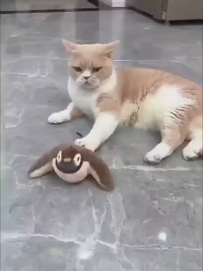 Cıvıl Kuş videosu