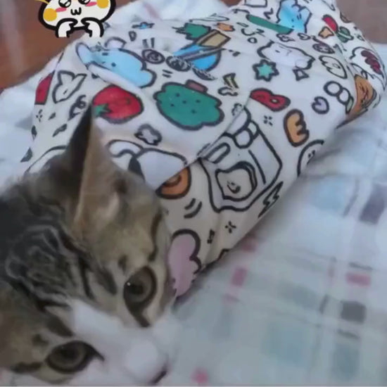 Kedi kundak bezi videosu
