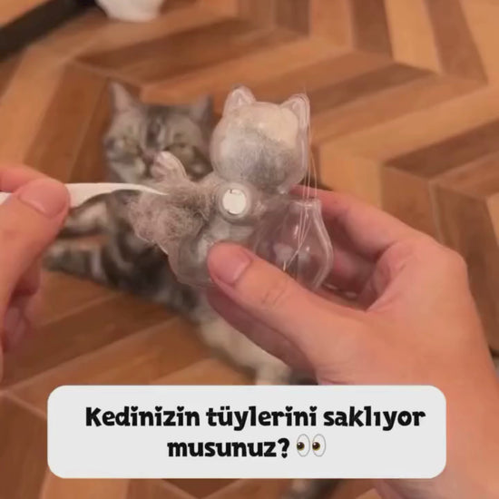 Kedi bıyığı magneti videosu